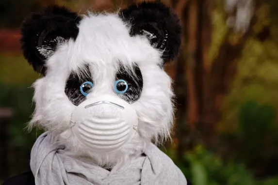 Vegadream Casino Ënnerstëtzung